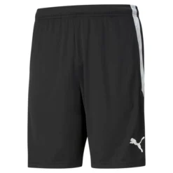 Sportshorts Puma TeamLIGA Trainingsshorts Herren Black
