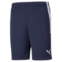 Sportshorts Puma TeamLIGA Trainingshorts Herren Blue