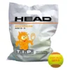 Tennisbälle HEAD TIP Orange (72-teilig) -Discounter Für Tennisausrüstung head tip orange 1